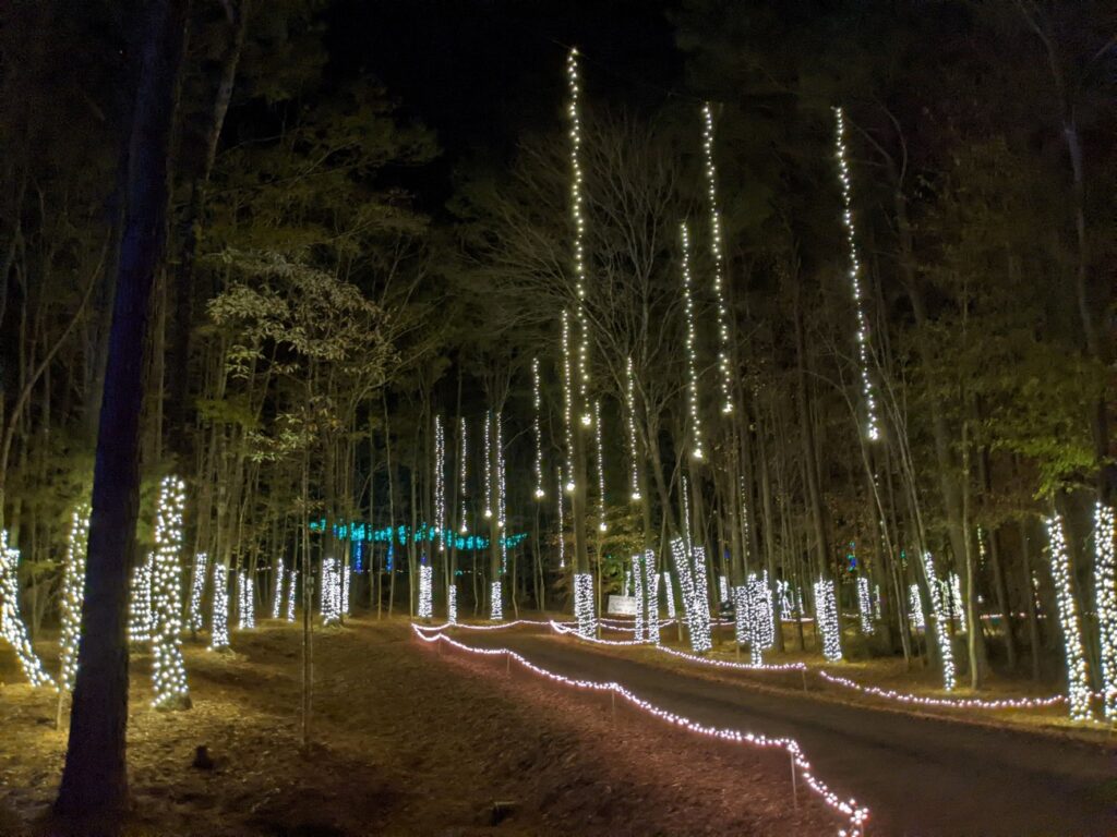 Candy Cane Lane