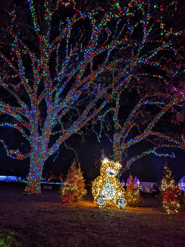 Trail of Lights