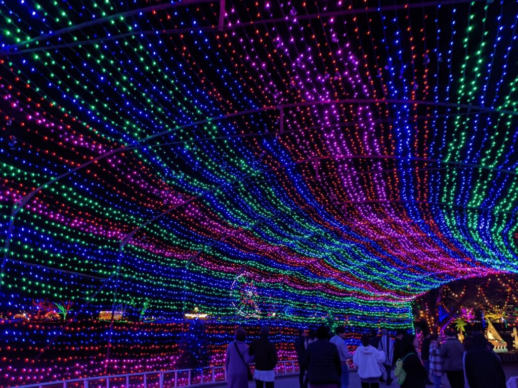 Trail of Lights