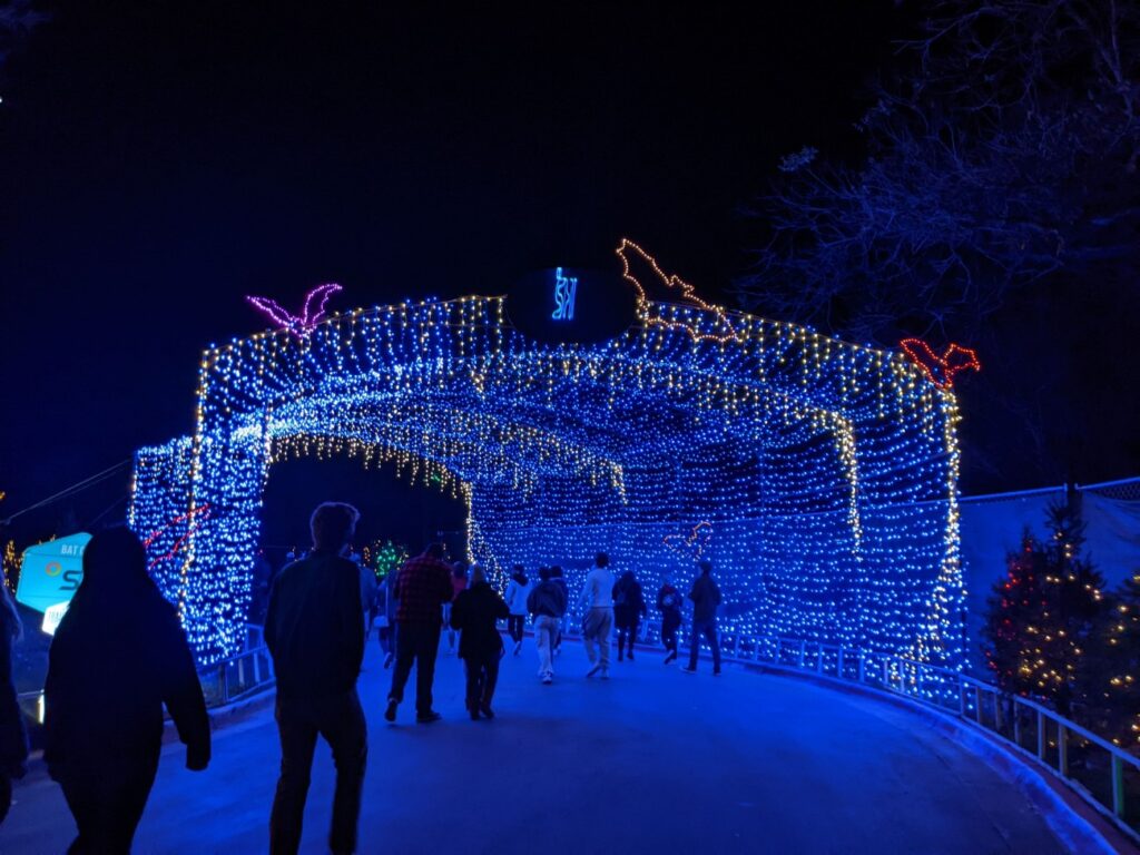 Trail of Lights