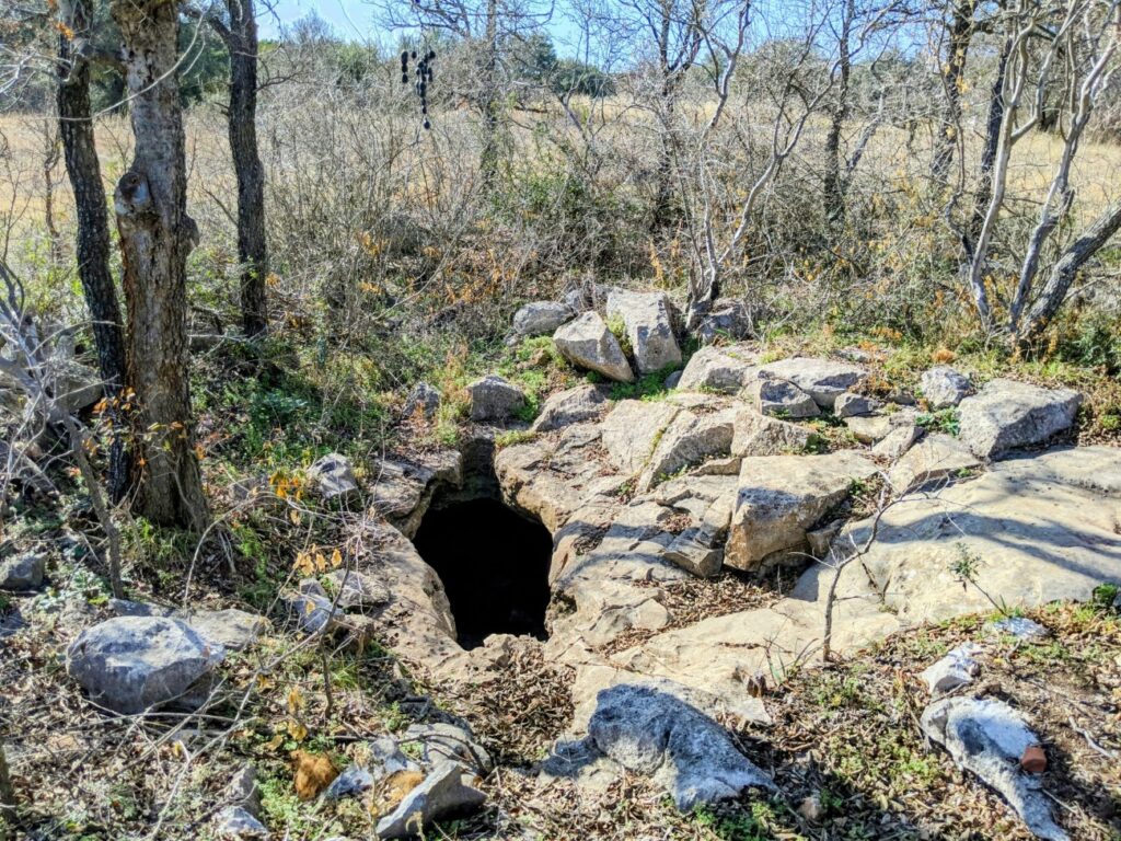 Lady Bird Johnson Wildflower Center