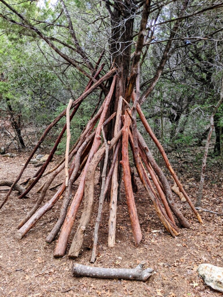 Lady Bird Johnson Wildflower Center