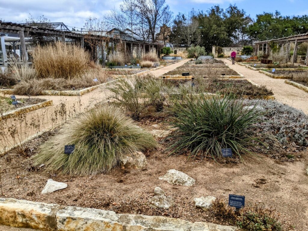 Lady Bird Johnson Wildflower Center