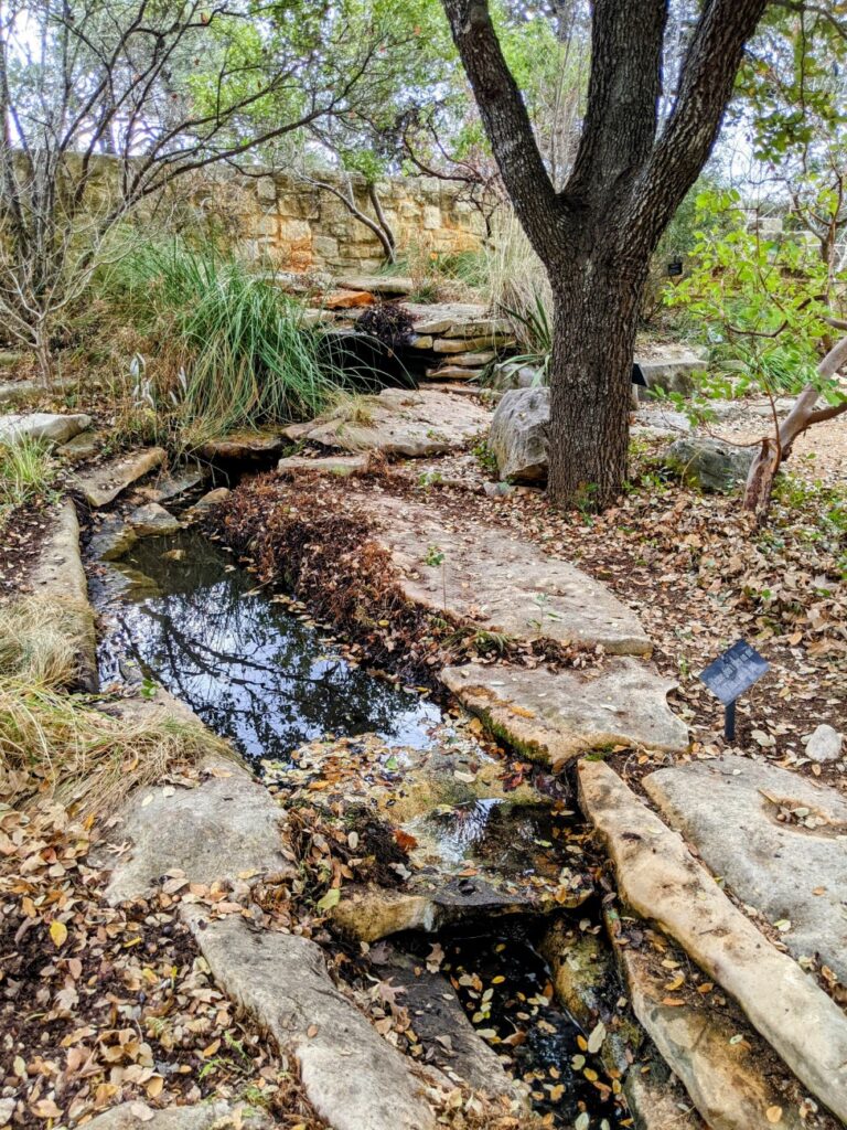 Lady Bird Johnson Wildflower Center