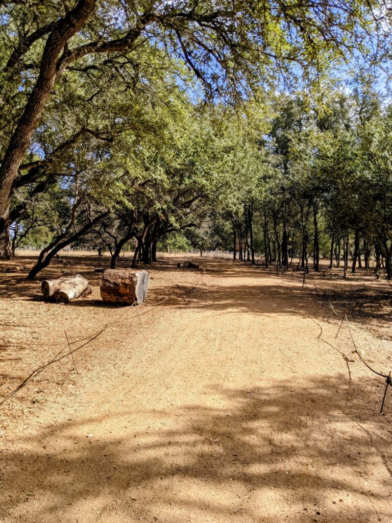 Lady Bird Johnson Wildflower Center