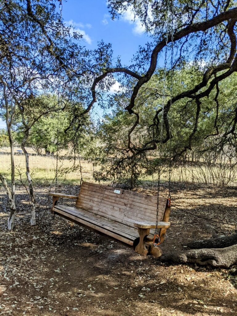 Lady Bird Johnson Wildflower Center