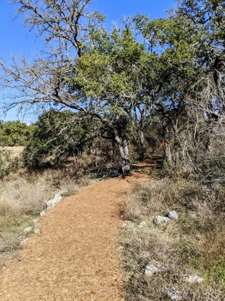 Lady Bird Johnson Wildflower Center