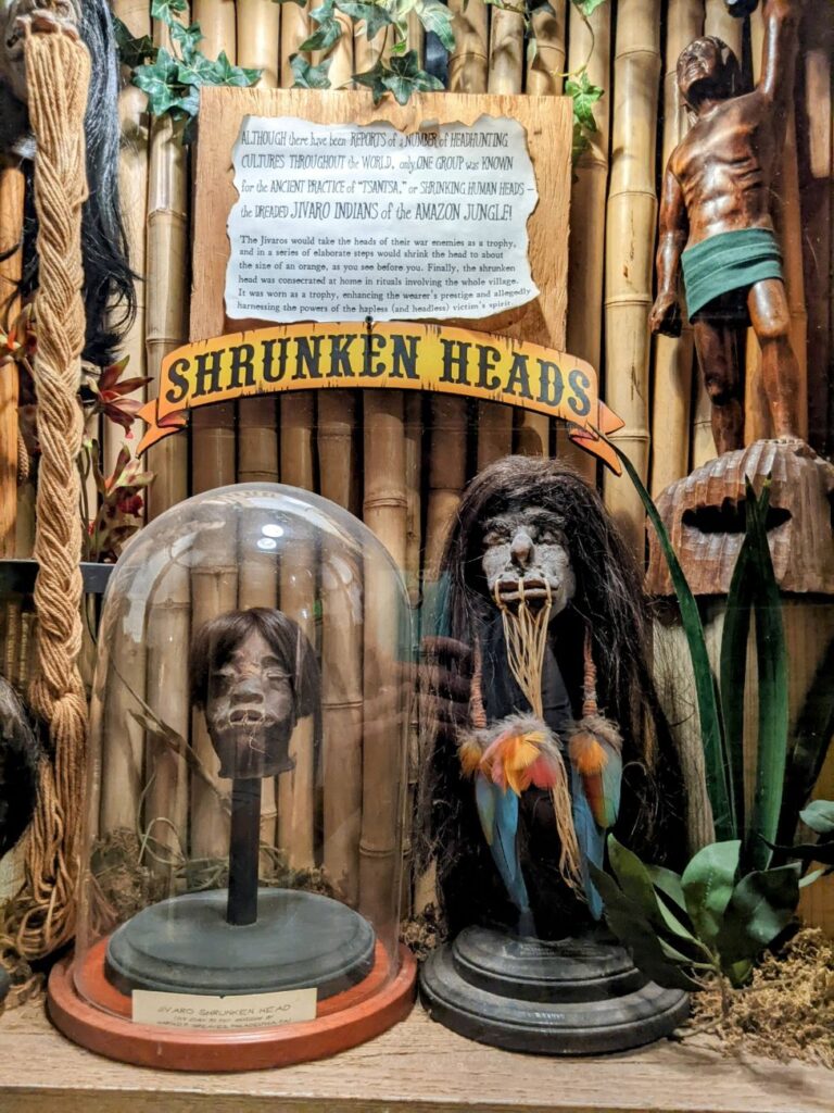 Weird Austin - Museum of the Weird