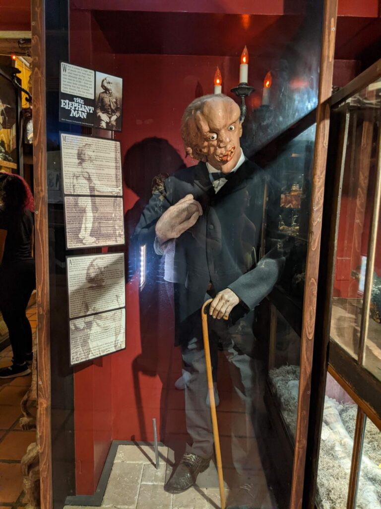 Weird Austin - Museum of the Weird