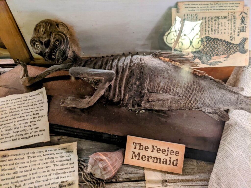 Weird Austin - Museum of the Weird