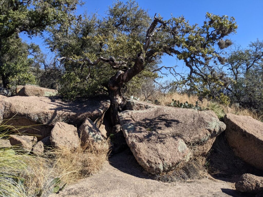 Enchanted Rock State Natural Area