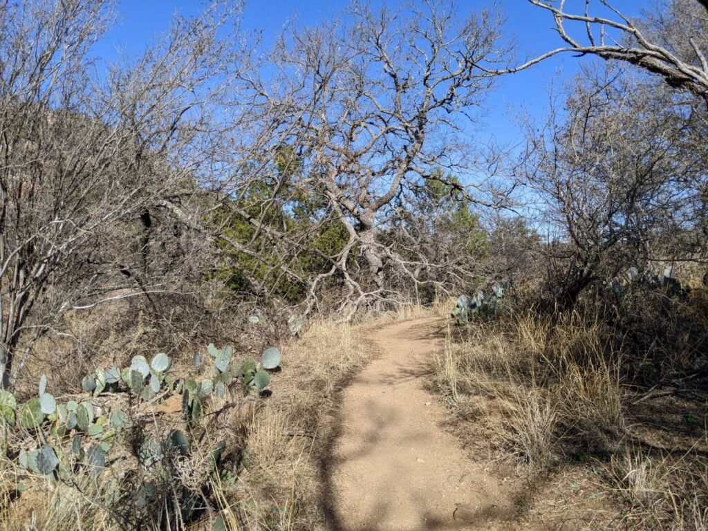 Enchanted Rock State Natural Area