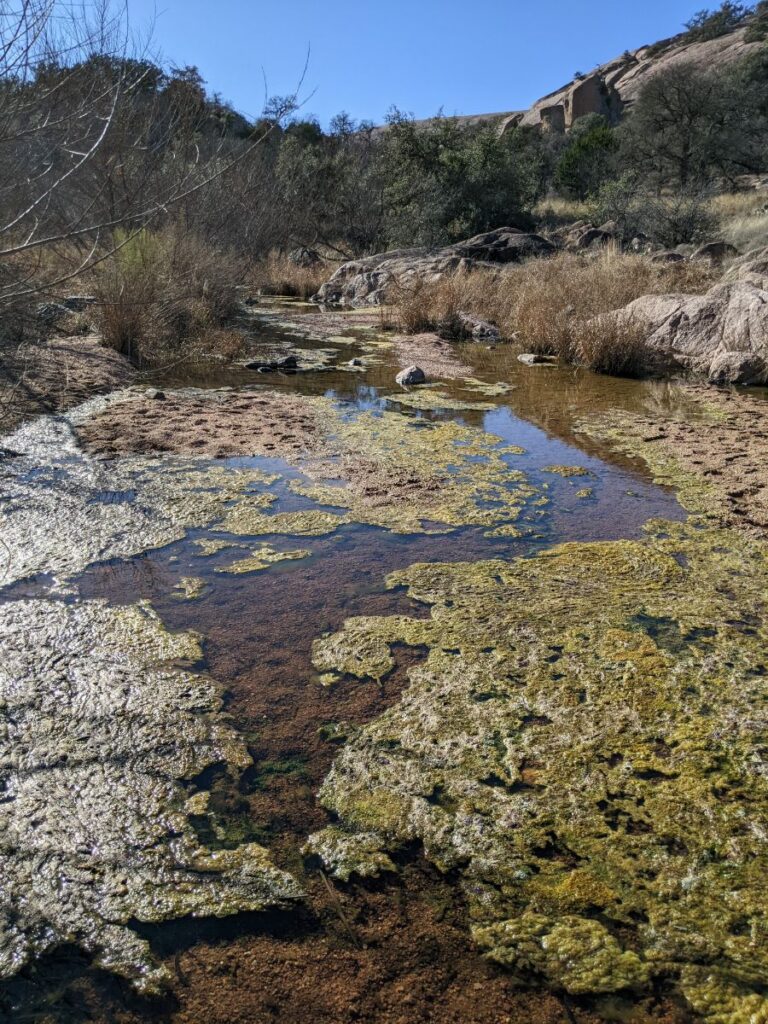 Enchanted Rock State Natural Area