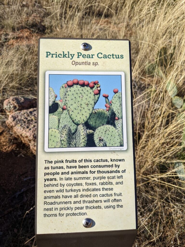 Enchanted Rock State Natural Area