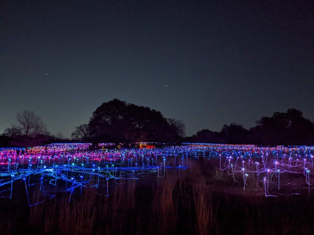 Field of Light Austin