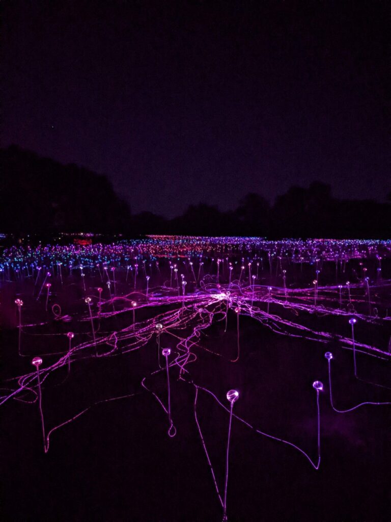 Field of Light Austin