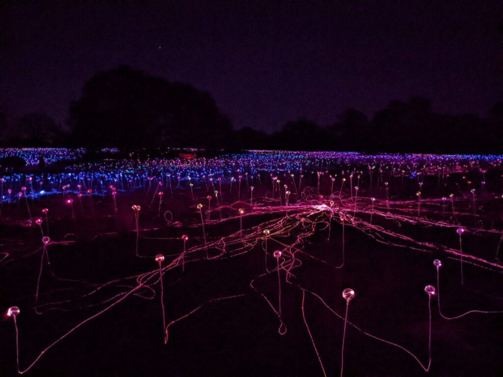 Field of Light Austin