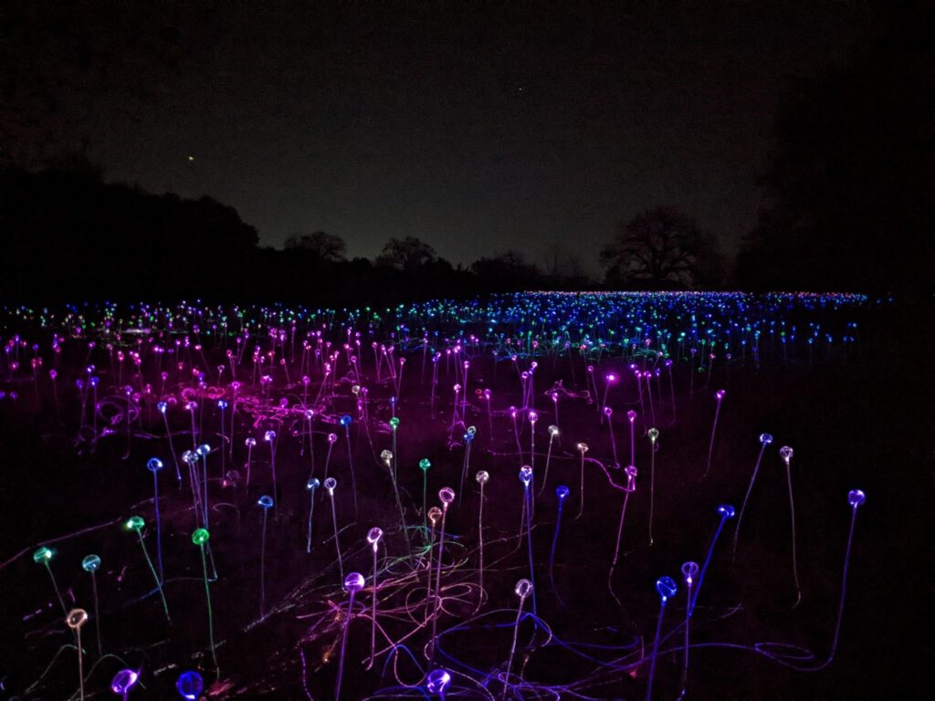 Field of Light Austin