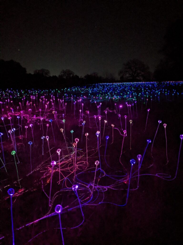 Field of Light Austin