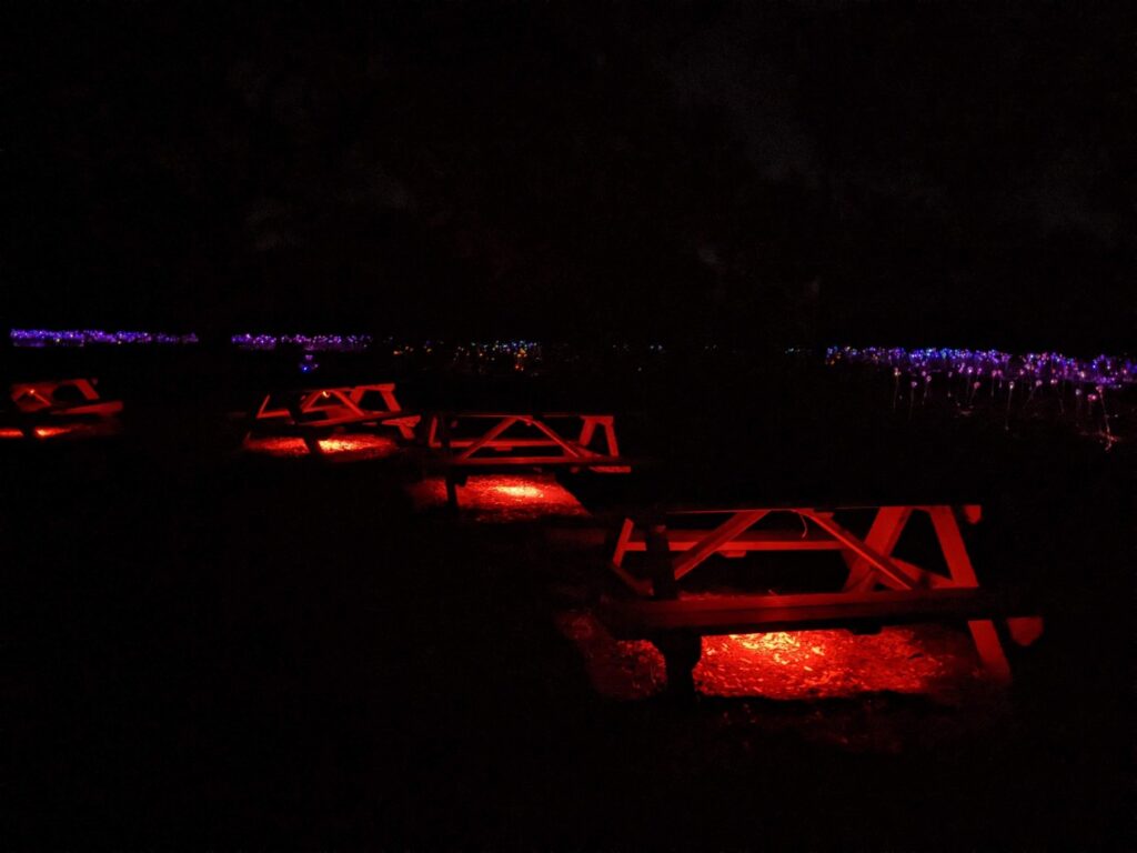 Field of Light Austin