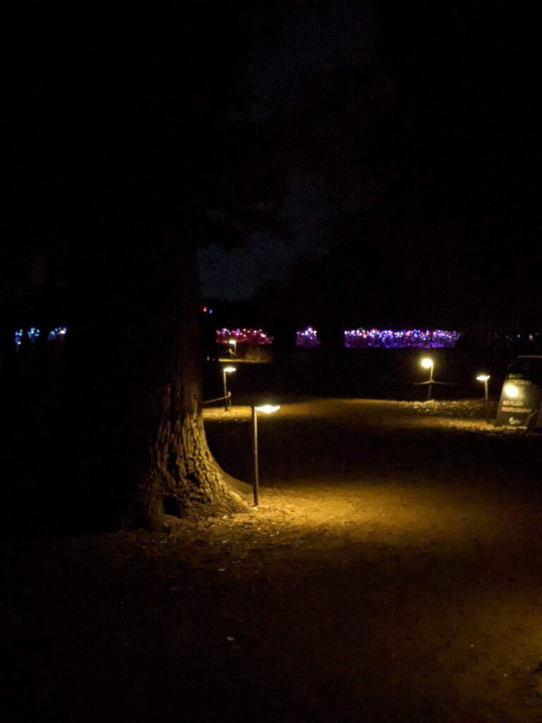 Field of Light Austin