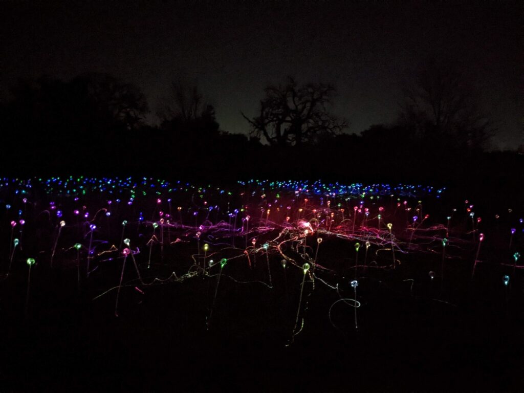 Field of Light Austin