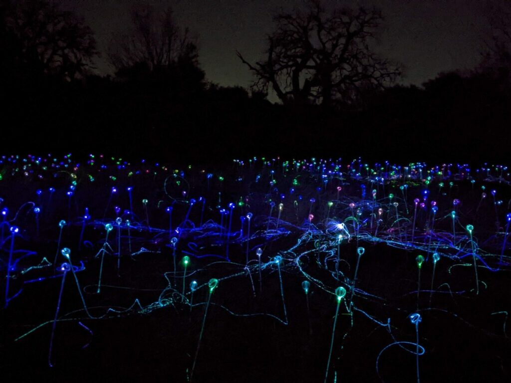 Field of Light Austin