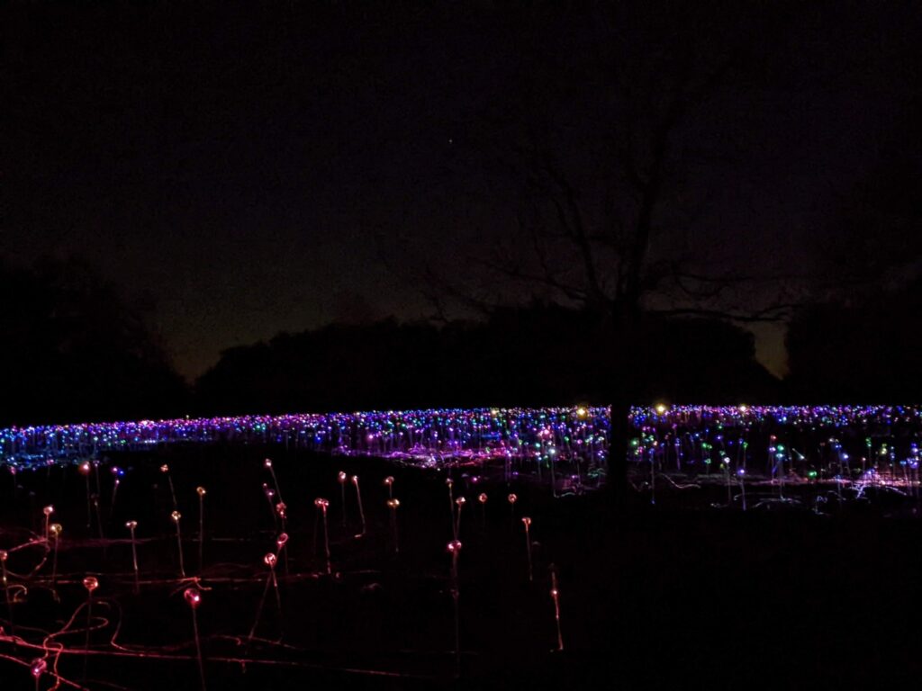 Field of Light Austin