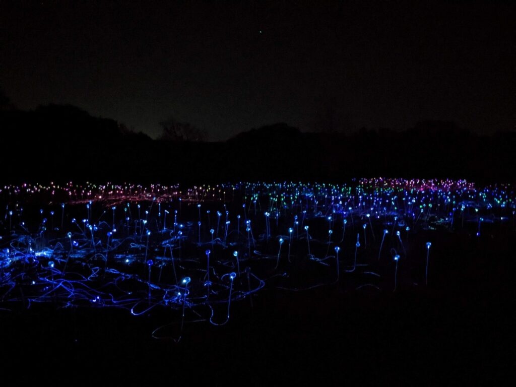 Field of Light Austin