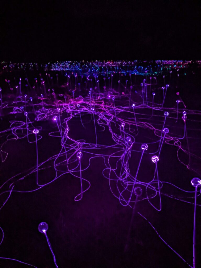 Field of Light Austin