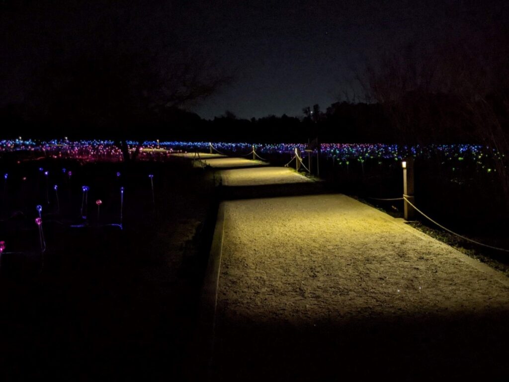 Field of Light Austin