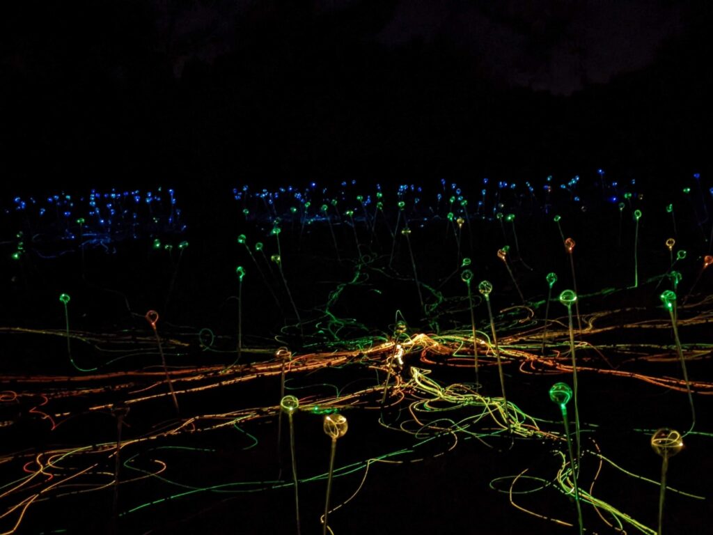 Field of Light Austin