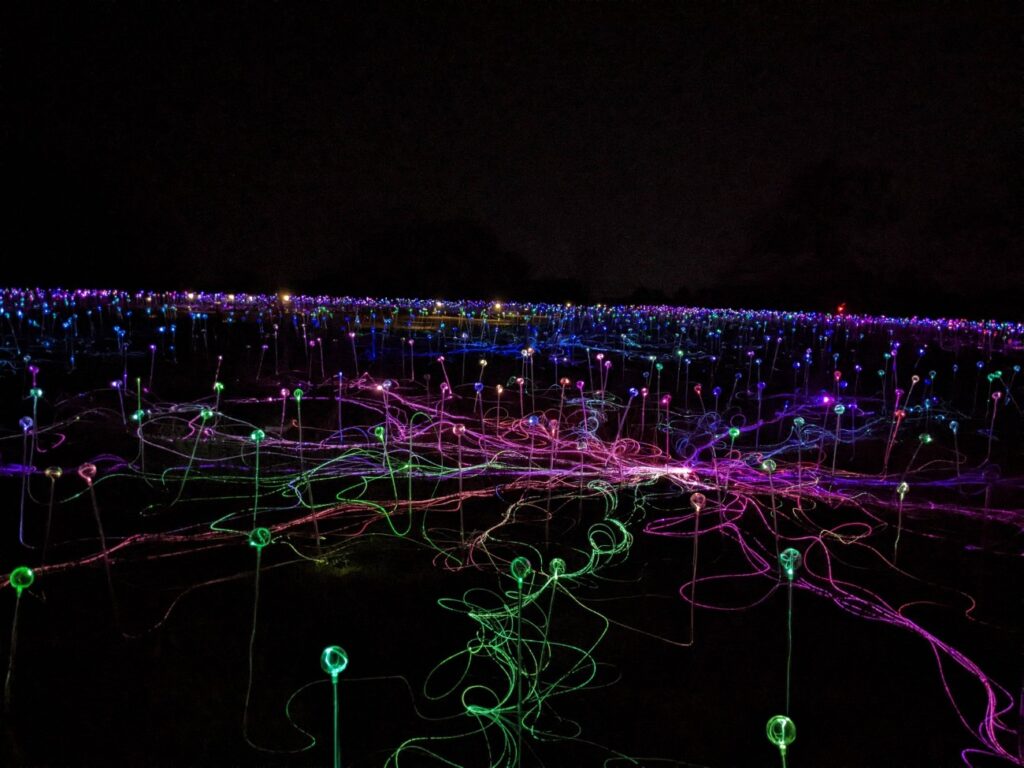 Field of Light Austin