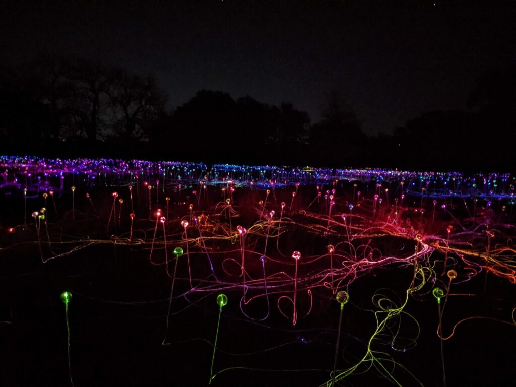 Field of Light Austin