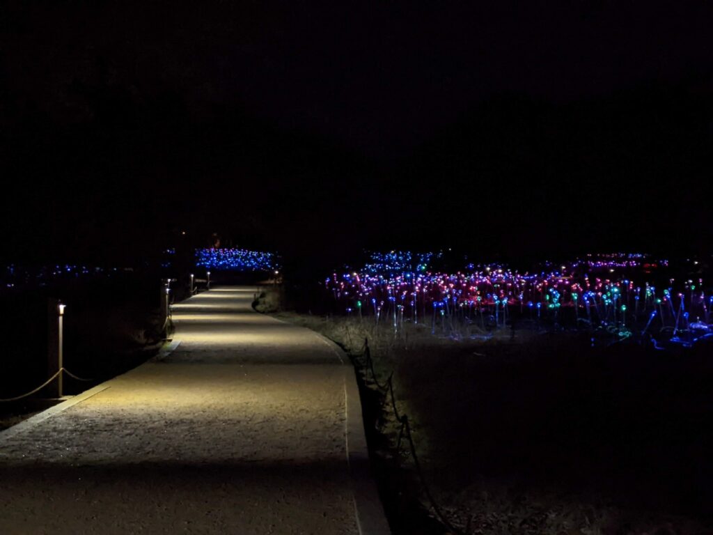 Field of Light Austin