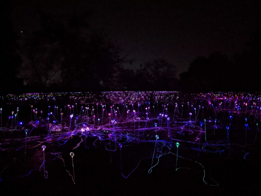 Field of Light Austin