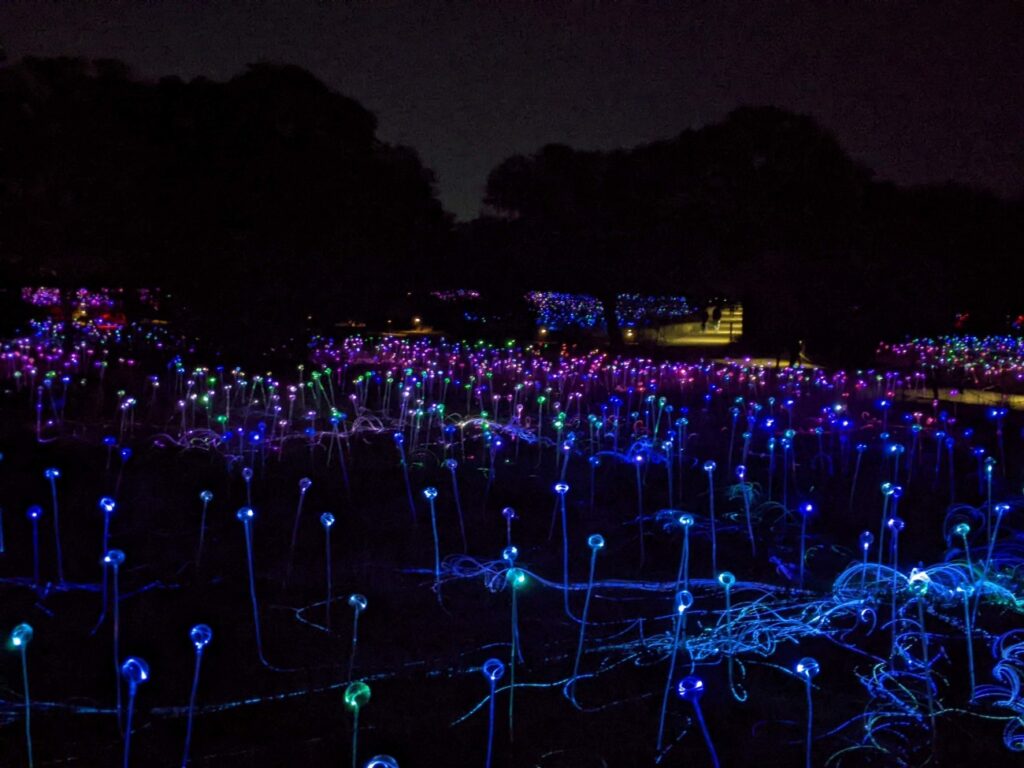 Field of Light Austin