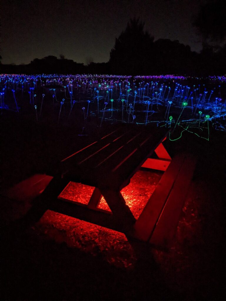 Field of Light Austin