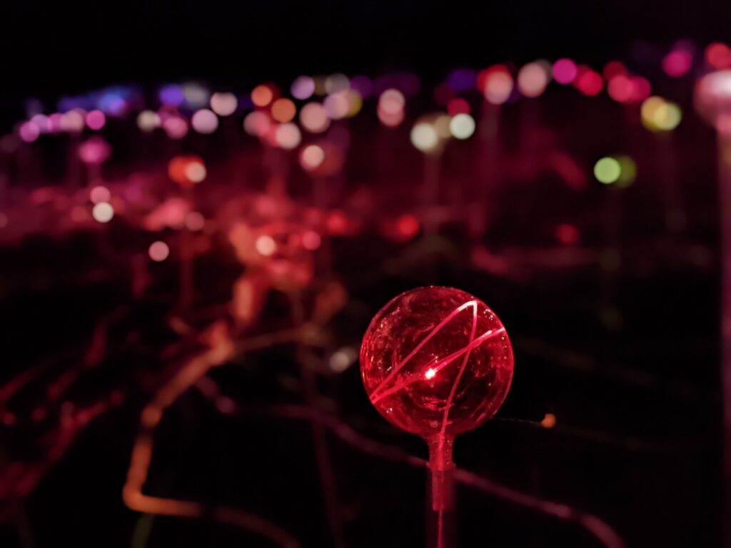 Field of Light Austin