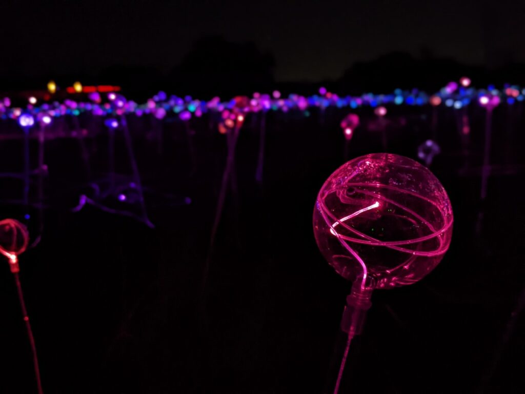 Field of Light Austin