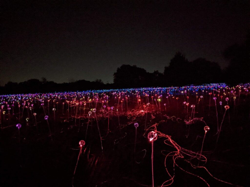 Field of Light Austin