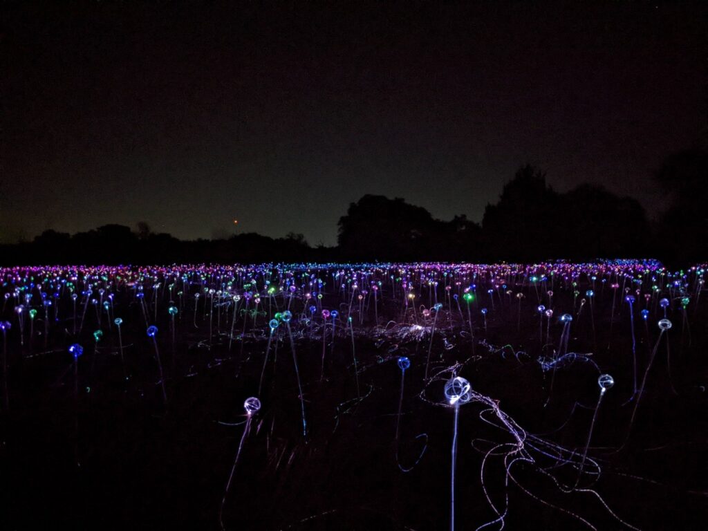 Field of Light Austin