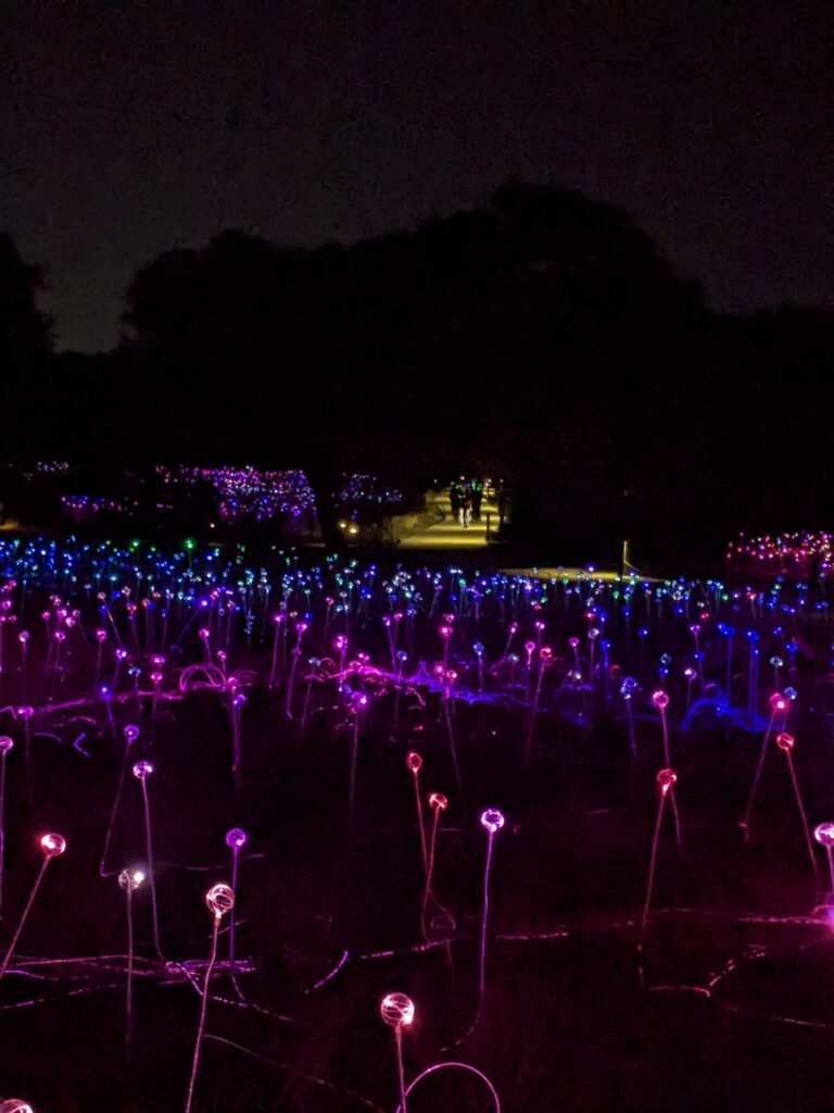 Field of Light Austin