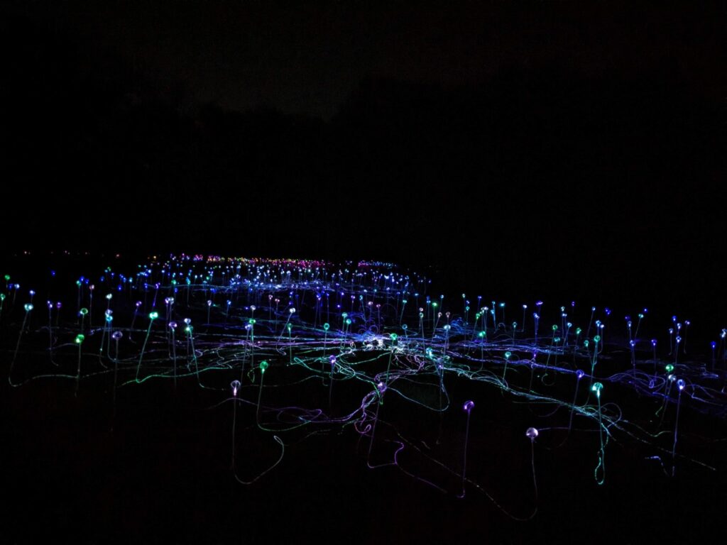 Field of Light Austin