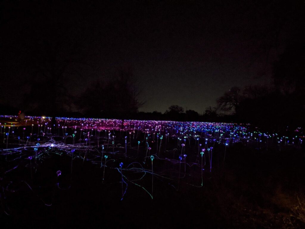 Field of Light Austin