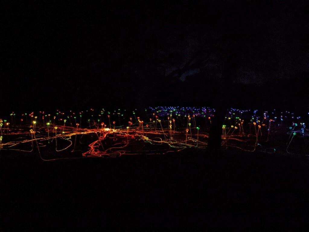 Field of Light Austin