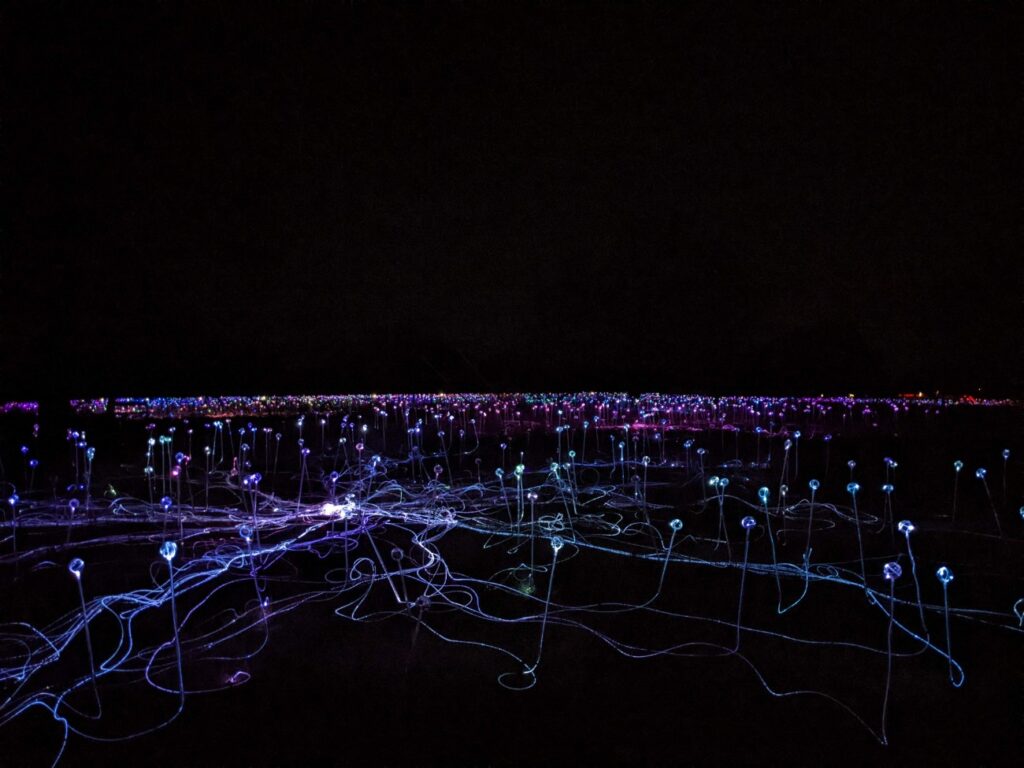 Field of Light Austin