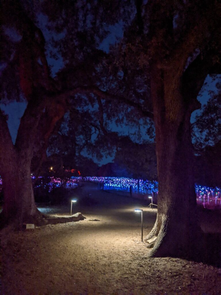 Field of Light Austin