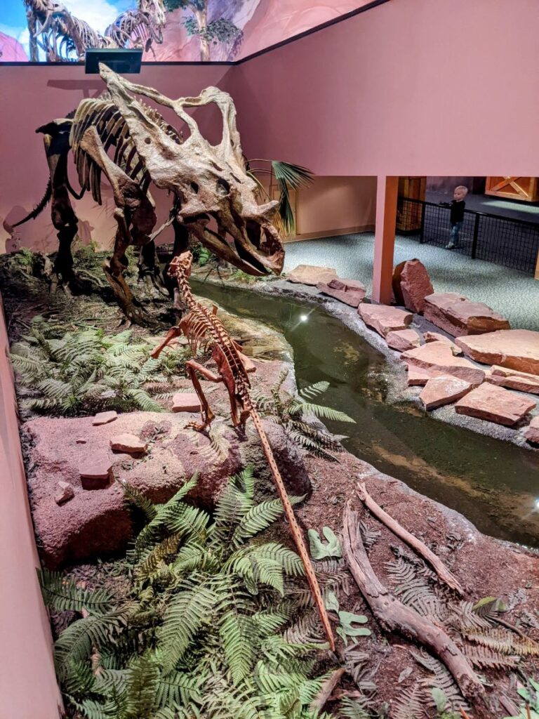 Museum of Ancient Life