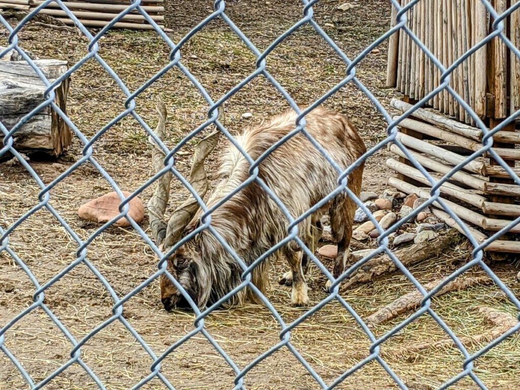 Hogle Zoo